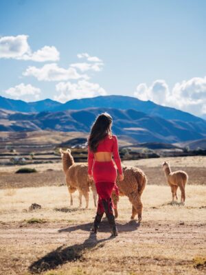 Ivana Yturbe Instagram - Felices fiestas šµšŖ Celebrando nuestra cultura en el mejor lugar del mundo, Cusquito ā¤ļø