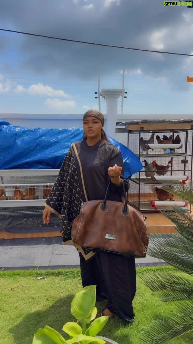 Jacqueline Wolper - 26.7K Likes - Eti leo Kijana wa kuku wananiambia ukitoa Yai kuku Anaona Eti Atagi tena jamani😂😂 kweli??
.
Nime mind hadi Naita kuku Binadam😂😂Nimehisi wanaonewa Tuu