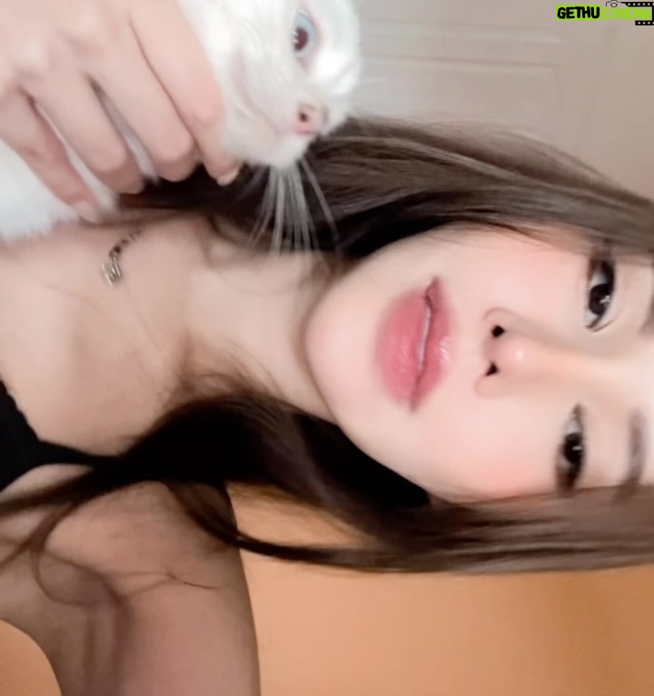 Jade Rasif - 11.1K Likes - Unhinged 2025 ❤️

My beautiful family (comments about my mom will get u blocked)
COACHELLAAAAA with @Revolve @manajesslyn 
Hosting the Gareth Bale challenge at the Euros (dream come true!!!!)
Becoming a cat mom 
@rollsroycecars tour of London with the @theritzlondon 
A year of the best @donjuliotequila parties 
Teaching my friend how to ski in Chamonix (blind leading the blind, gave up and went to have French Aperol)
DJING FOR @f1 
50% Meeting @madisonbeer 50% yapping with @cherb8ar 
@becseu … wedding of the decade ❤️
8 friends vs a haunted house and a roller coaster 
CHINA AND JAPAN with such an amazing crew
Watching my friends win in life 
Insane and unhinged adventures in Dubai and Bangkok @kiaraakitty @ms.kisanna 👯 
DWP, hypefest, Waterbomb, Songwok, Guts and ERAS - best shows of 2024

(Am only allowed 20 tags and pics / post im so sorry)