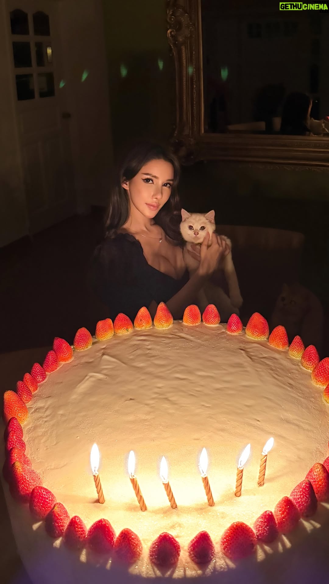 Jade Rasif - 9.8K Likes - NOT WHAT I MEANT WHEN I WISHED FOR A HUGE CAKE 😭 but thank you from the bottom of my heart for all the kind wishes and words, and special thanks and appreciation to my friends and family for making me feel so supported and loved in this life ❤️ (and my orthodontist who just removed my braces!!!! )