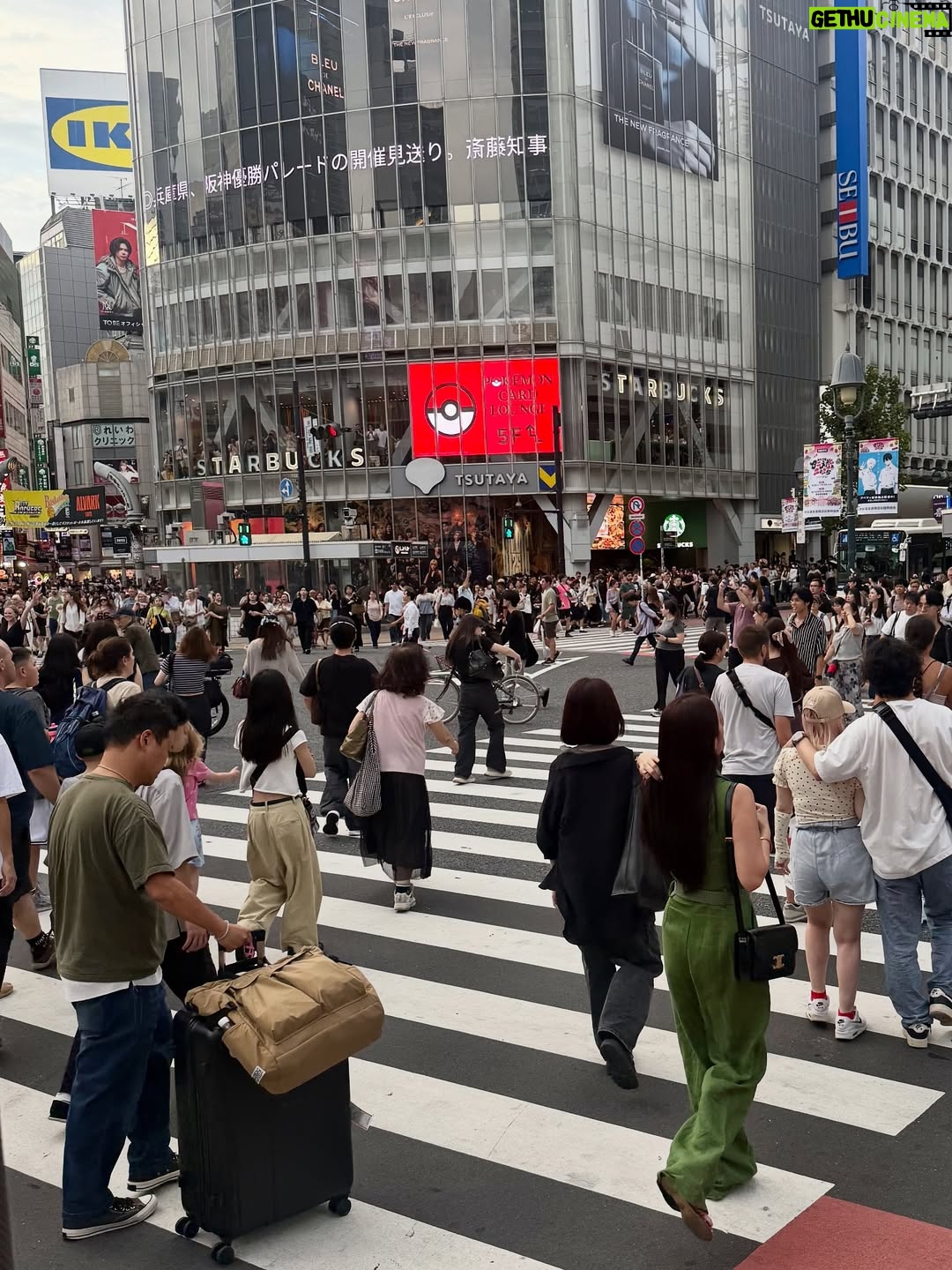 Janelle Tee - 3 Likes - Finally!!! I got my luggage!!! Story time soon! Iedit Ko lang muna ang vlog ng Aking luggage experience dito sa Tokyo Japan!

Naka gala na din! Starting off with Shibuya Crossing & Shinjuku Godzilla Building! 🇯🇵

#janelleteetraveldiary 
#janelleteeinTokyo
#Japan
#shibuya