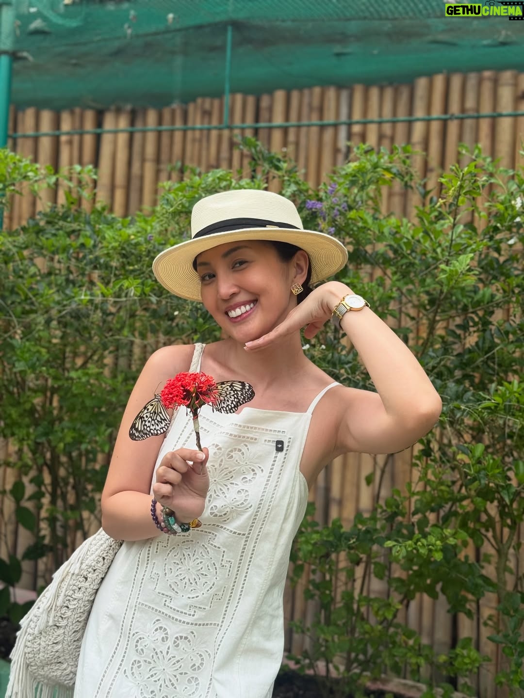 Janelle Tee - 3 Likes - Bohol Weekend 🤎 

- Bilar Man Made Forest
- Chocolate Hills
- Loboc River Cruise
- Bohol Phyton & Wildlife Park
- Baclayon Church
- Dolphin Watching
- Snorkeling
- Tarsier
- Blood Compact Shrine