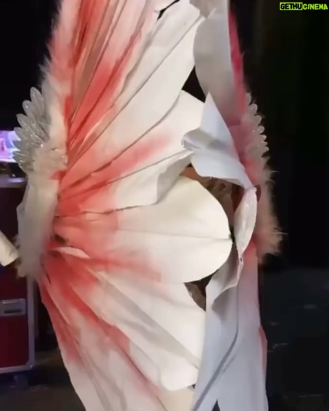 Janick Maceta - 132.2K Likes - Ser Peruano es ponerle alma, corazón y dedicación a cada cosa que hacemos. El amor y el orgullo por mi País han guiado y guiarán mis pasos siempre. 🇵🇪🤍

Feliz 28 mi Perú querido!! ❤️🤍❤️