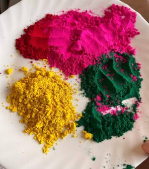 Jasleen Arora Instagram - Happy Holi💛🧡❤️💚💙
.
.
.
#explorepage #explore #happyholi #festival #instagram