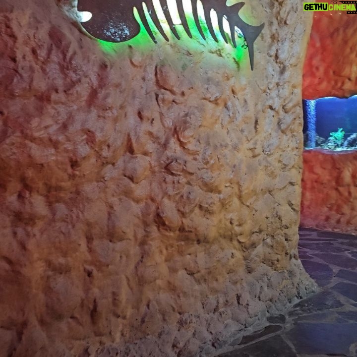 Jennifer Arenas - 3 Likes - #colombia 

#viajes #jenniferarenas #restaurantes #islamorada