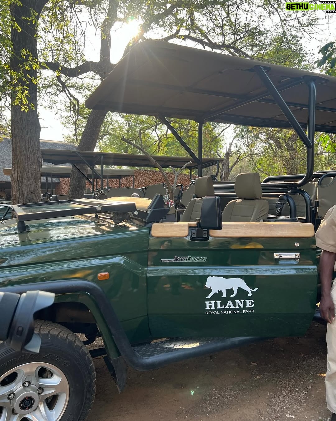Jessica Nkosi - 85.9K Likes - We visited @hlanernp … 🇸🇿
I loved how we didn’t have to drive around for a long time to see all the animals they have, I don’t know why they were all out and so close but WOW!! What an experience!! 
We also saw elephants but I didn’t get a video… 🐘
Also that lion was massive!!!!!! 🦁

@eswatini_air 
@eswatini_tourism