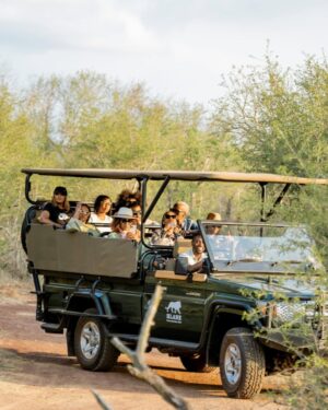Jessica Nkosi Instagram - We visited @hlanernp … 🇸🇿
I loved how we didn’t have to drive around for a long time to see all the animals they have, I don’t know why they were all out and so close but WOW!! What an experience!!
We also saw elephants but I didn’t get a video… 🐘
Also that lion was massive!!!!!! 🦁
@eswatini_air
@eswatini_tourism