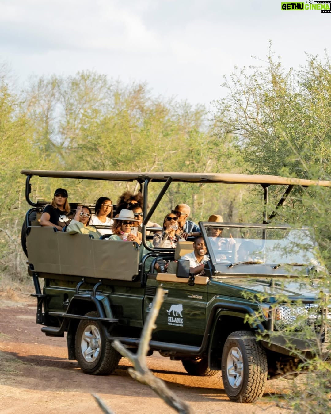 Jessica Nkosi - 85.9K Likes - We visited @hlanernp … 🇸🇿
I loved how we didn’t have to drive around for a long time to see all the animals they have, I don’t know why they were all out and so close but WOW!! What an experience!! 
We also saw elephants but I didn’t get a video… 🐘
Also that lion was massive!!!!!! 🦁

@eswatini_air 
@eswatini_tourism
