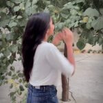 Jiya Rajput