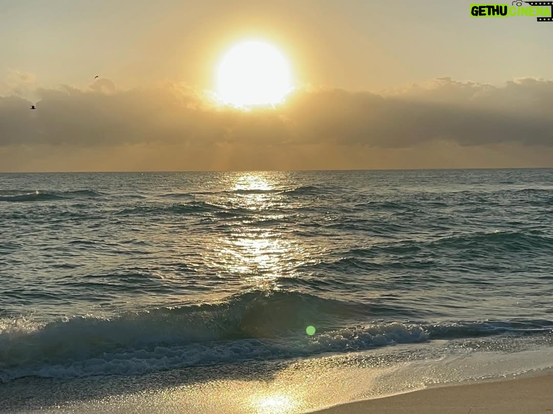 Julieta Prandi - 5.1K Likes - Disfrutar, sorprenderse y volver a conectar con quiénes somos. Los viajes nos invitan a reencontrarnos con el presente y dar gracias. 🪐✨
#familytrip 
.
Primer tramo Miami @seacoastsuitesmiami 
@agenciabochi