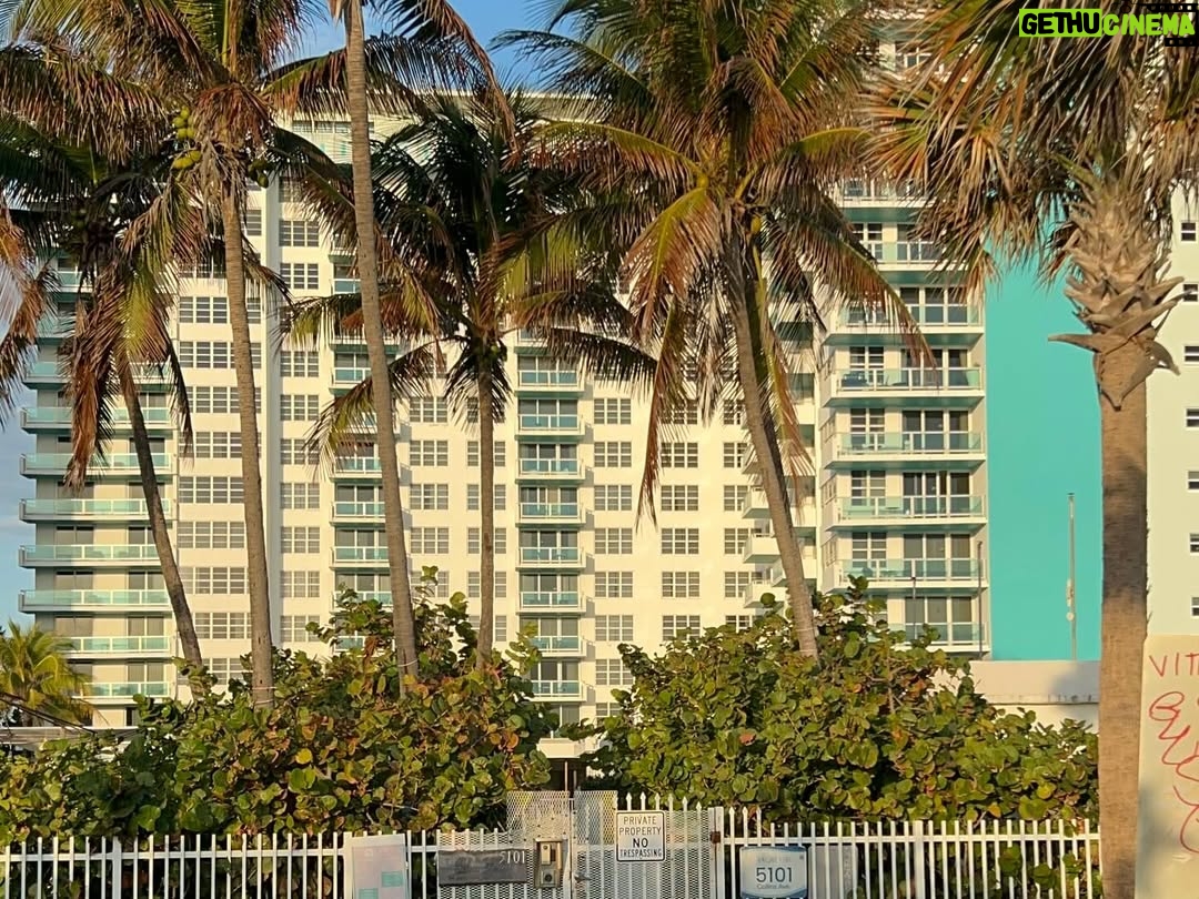Julieta Prandi - 5.1K Likes - Disfrutar, sorprenderse y volver a conectar con quiénes somos. Los viajes nos invitan a reencontrarnos con el presente y dar gracias. 🪐✨
#familytrip 
.
Primer tramo Miami @seacoastsuitesmiami 
@agenciabochi