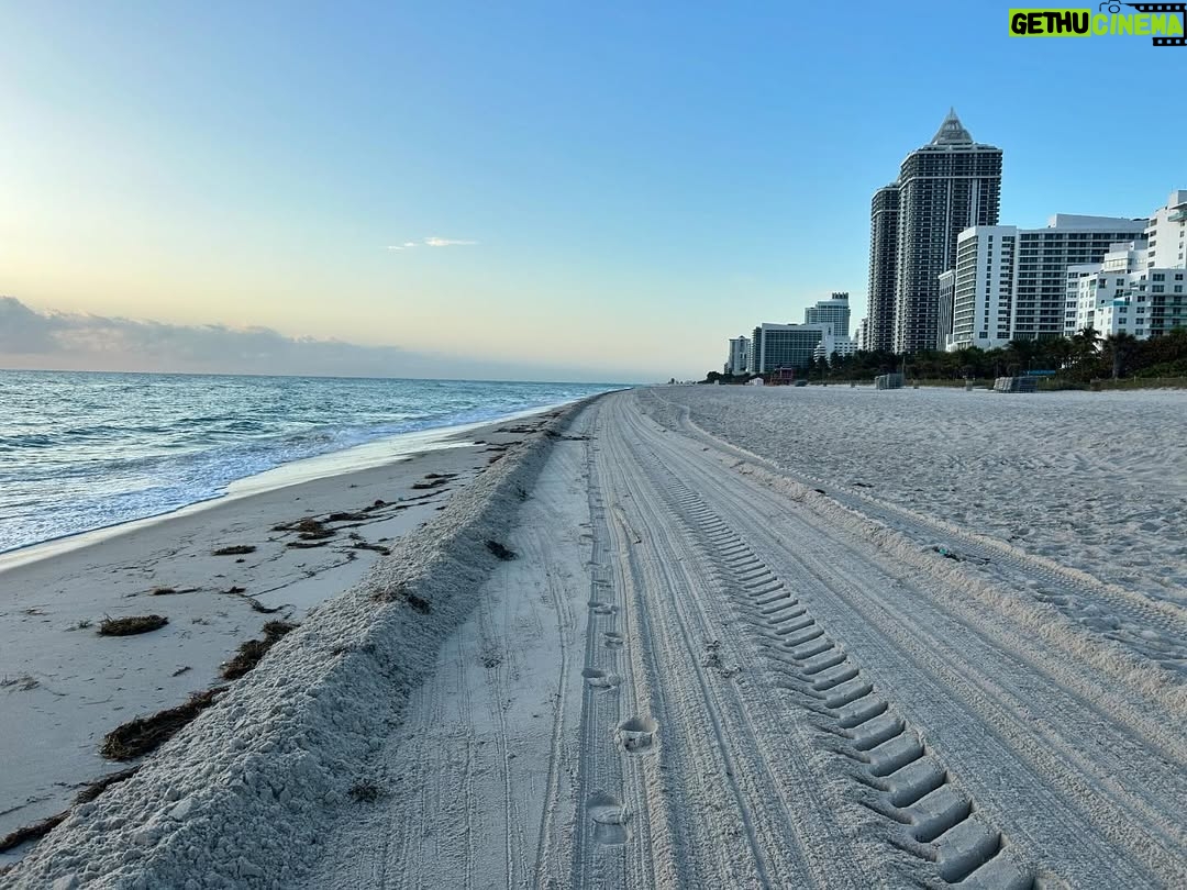 Julieta Prandi - 5.1K Likes - Disfrutar, sorprenderse y volver a conectar con quiénes somos. Los viajes nos invitan a reencontrarnos con el presente y dar gracias. 🪐✨
#familytrip 
.
Primer tramo Miami @seacoastsuitesmiami 
@agenciabochi