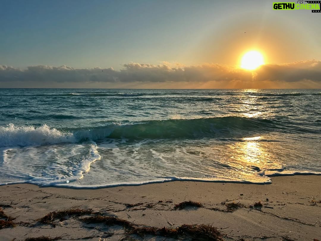 Julieta Prandi - 5.1K Likes - Disfrutar, sorprenderse y volver a conectar con quiénes somos. Los viajes nos invitan a reencontrarnos con el presente y dar gracias. 🪐✨
#familytrip 
.
Primer tramo Miami @seacoastsuitesmiami 
@agenciabochi