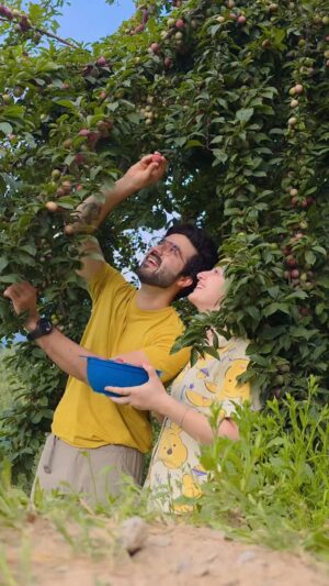Jyotika Dilaik Instagram - Our favourite SEASON🍑🍒🍎🍐
.
.
.
#jyotikaandrajat #jyotikadilaik #rajatsharmavlogs #ratika #love #nature #shimla #harvest #fruits #mountains #fruitharvest #plum #peaches #delicious #tasty #healthy