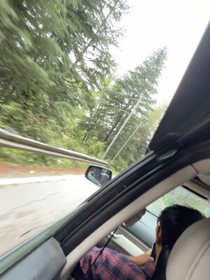 Kaamini Chaube Instagram - Somewhere between the pines and my playlist 🎶🌲 
.
.
.
.
.
.
.
.
.
.
.
#RoadTripMood #lohaghat #NatureVibes #MountainMagic #posts #pine #photo #photoshoot