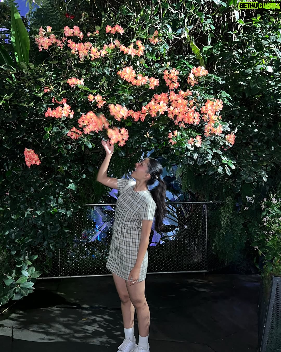 Kanishka Tewari - 3.1K Likes - The last picture is my fav😘>>

#post #instapost #instagram #explore #explorepage #exploremoreً #viral #trending #cute #cutefits #ootd #outfitoftheday #outfits #cuteoutfit #fitspo #foryou #foryoupage #fypage #vibewithkanishka_