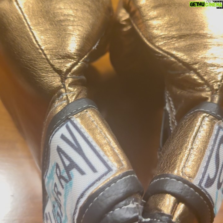 Karina Mazzocco - 21.3K Likes - Me quedan tus guantes  de boxeo Ale, Los que me regalaste cariñosamente el día que pasaste de visita por “A la tarde”. Y me queda tu energía imparable, tu afecto y tu recuerdo para siempre. 
.
Gracias x tu alegría, por tus ganas de despertar conciencias, gracias por honrar la vida en cada mensaje que diste, gracias por ayudar a los demás, por tu solidaridad inagotable, por esa fuerza arrolladora, por desear ser “Locomotora” en la vida de los necesitados. 
.
Estos guantes son el emblema de tu lucha  y tu resiliencia infinita! Gracias querida Alejandra, por regalarme este símbolo, tu bandera. Hoy siento mucha tristeza y a la vez, siento la dulzura de la aceptación. 
Entiendo que tu misión fue cumplida y Dios te quiere junto al resto de sus ángeles en el reino de los cielos. 
.
Buen viaje Gladiadora, tenés tu lugar asegurado en lo más alto del paraíso. Es tuyo, te lo ganaste, con ese corazón noble y generoso. Ya ganaste todo Locomotora, todas las luchas. 
.
Ahora descansá en paz querida 🙏🏼 las semillas que sembraste con tanto amor, han caído en tierra fértil 💚 QEPD Alejandra Locomotora Oliveras 
.
.
.
Esta foto hermosa es de @regina_cosmetics gracias Regi 🫶
.

#locomotora #vida #muerte #impermanencia #alejandraoliveras #bondadfundamental #resiliencia #boxefemenino #karinamazzocco
#campeonamundial #paz #amor