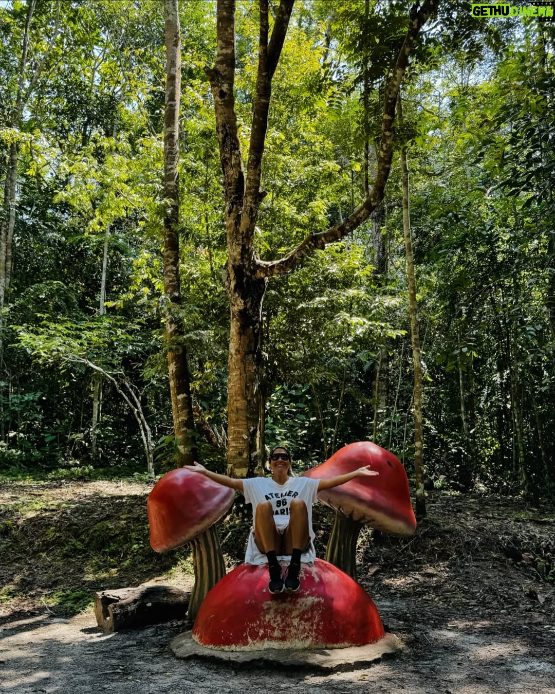 Katia Palma - 28.3K Likes - Venir a Iquitos y no poner esta canción en tu publicación…..no tiene sentido🔥😎🌴💚🫶🏽🫶🏽🫶🏽🇵🇪🤪 #iquitosperu #ig #photo #selvaamazonica #quecalordiiiiiii  De la selva su encanto😍