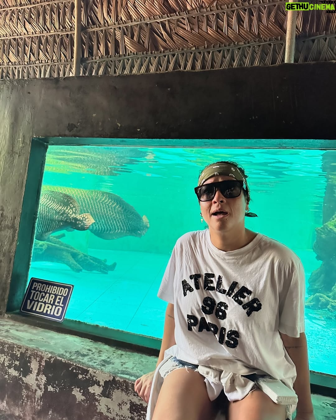 Katia Palma - 28.3K Likes - Venir a Iquitos y no poner esta canción en tu publicación…..no tiene sentido🔥😎🌴💚🫶🏽🫶🏽🫶🏽🇵🇪🤪 #iquitosperu #ig #photo #selvaamazonica #quecalordiiiiiii  De la selva su encanto😍
