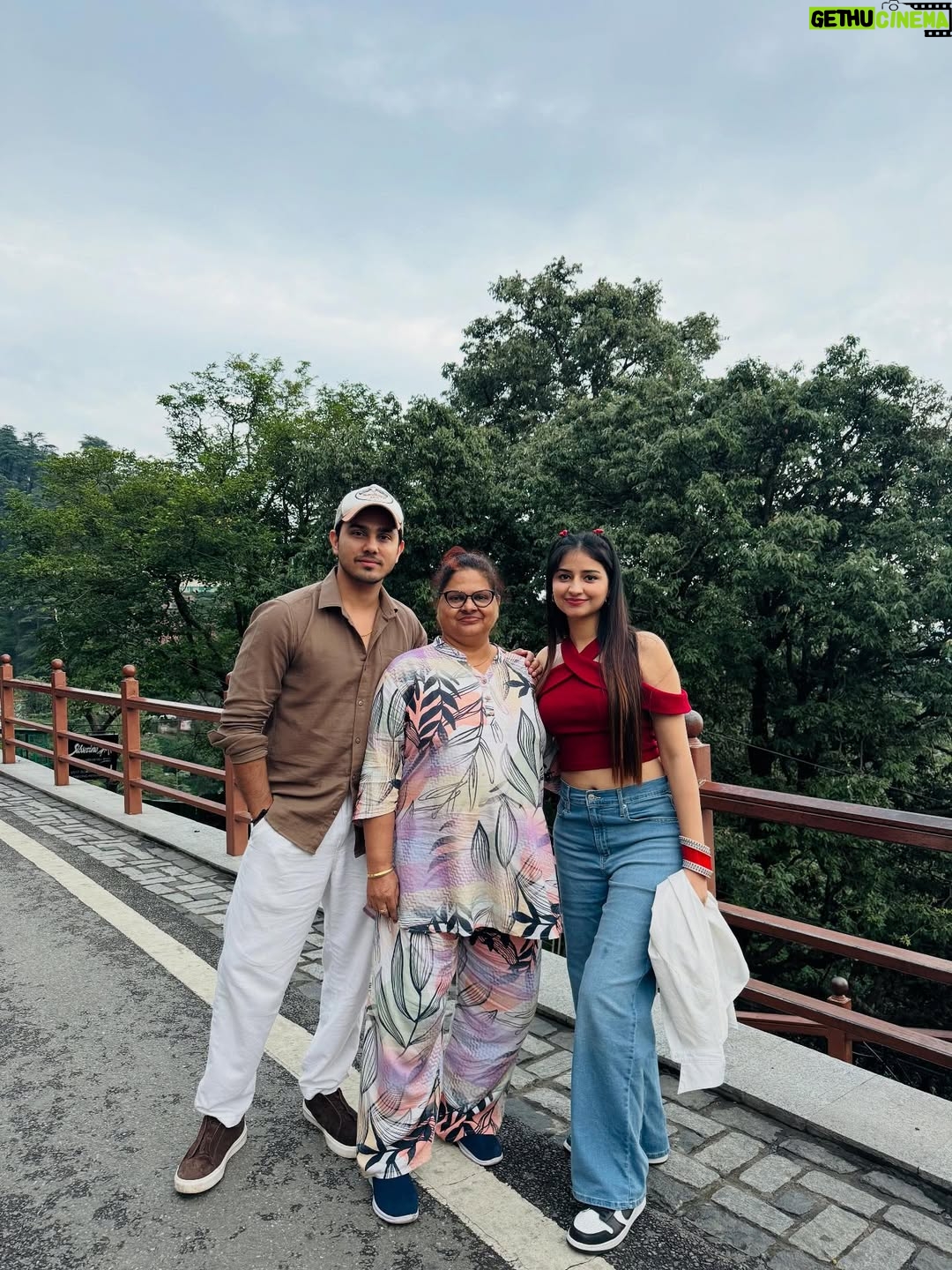 Kaushiki Chopra - 11.2K Likes - Adding a little Shimla shine to my timeline ✨ 

#shimla #mountain #familytrip #beautifulpose #naturelove #cat