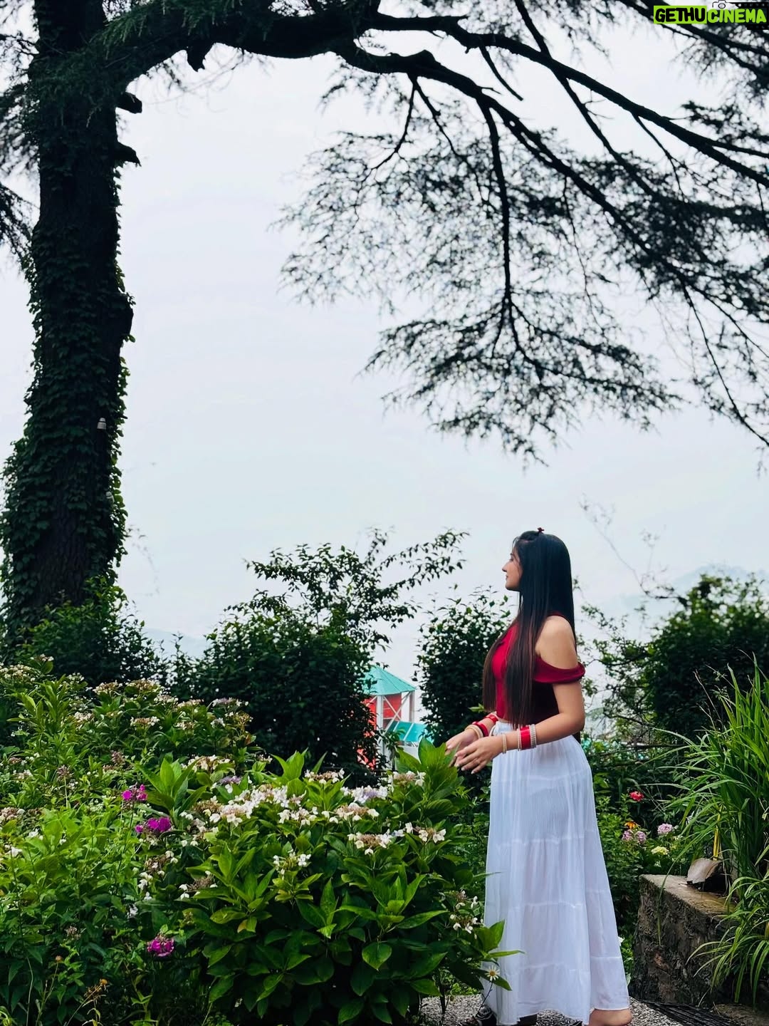 Kaushiki Chopra - 11.2K Likes - Adding a little Shimla shine to my timeline ✨ 

#shimla #mountain #familytrip #beautifulpose #naturelove #cat