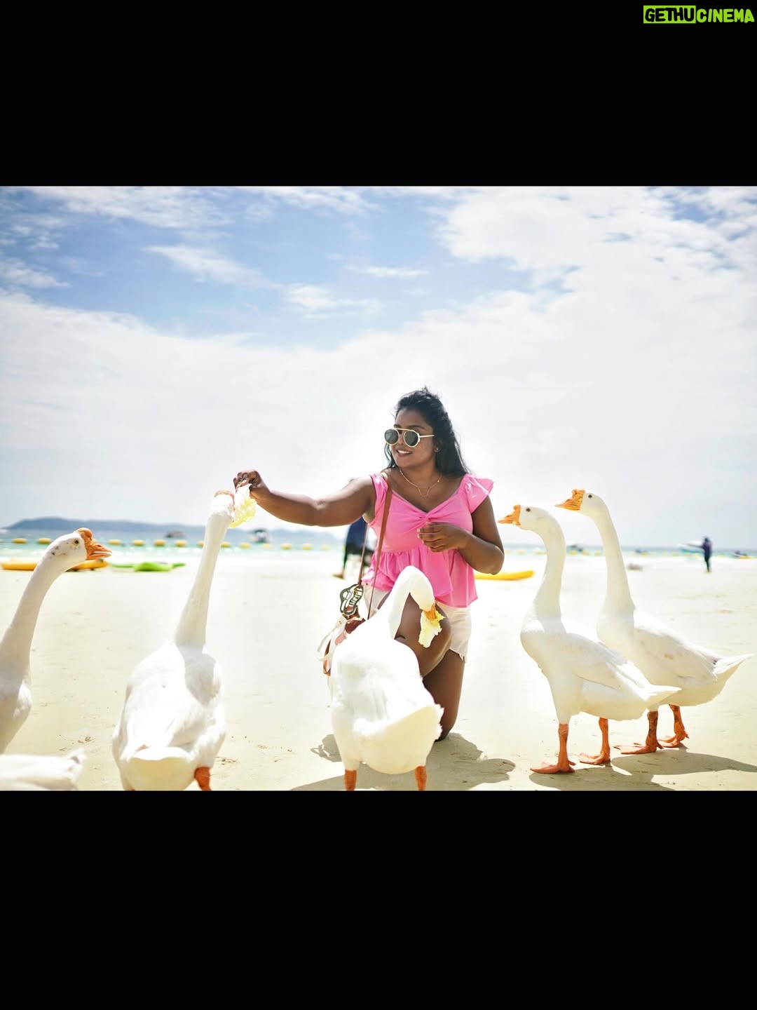 Keerthana Ravindran - 11.8K Likes - Glimpses of the best day in Pattaya 🏝️ Thailand 🇹🇭

The tour began at 8:30 AM and ended by 4:30
PM

Inclusions: Day trip to Hard Tien Beach,tour guide,Return shared hotel transfers from Pattaya,Speed boat transfers,Lunch,Clear kayak,Stand-up paddle board

Complimentary drone photos & video,3-min jet ski ride, 3-min banana boat ride, 1 round of parachute, Life vest,Towel,Drinking water and Insurance

- ��Cost: 3.9K - 5.2K per person

- ��I booked it via @headout and it was worth every penny. If you're visiting Thailand, I highly recommend doing this Koh Larn island Day tour with Headout!

[Pattaya photo shoot, Thailand travel, poses for beach , coral island tour, koh larn island, pattaya, thailand ]

#headoutforcreators #travellady #thailand