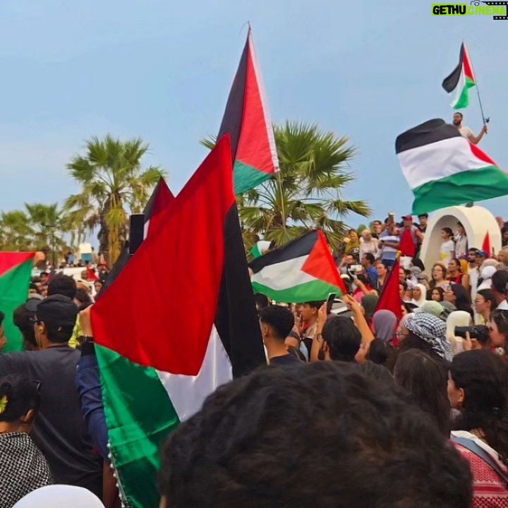 Khaoula Slimani - 37.3K Likes - النصر لفلسطين درة العرب و المسلمين ان شاء الله ❤️ دمت لنا شامخة يا فلسطين الشجاعة و يا فلسطين الصبر 🤲❤️🇹🇳🇵🇸