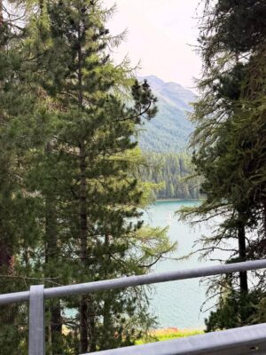 Kimia Hosseini Instagram - Switzerland you felt like a dream I never wanted to leave.
every detail is still glowing in my heart.