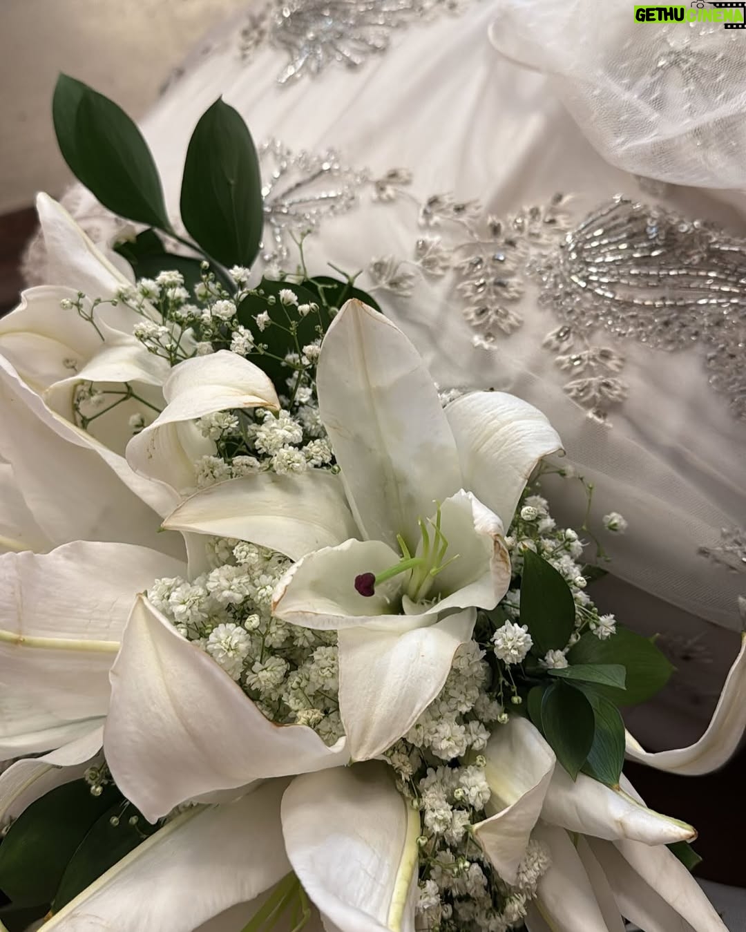 Klara Castanho - 101.6K Likes - O casamento de CEDU foi um chuá!