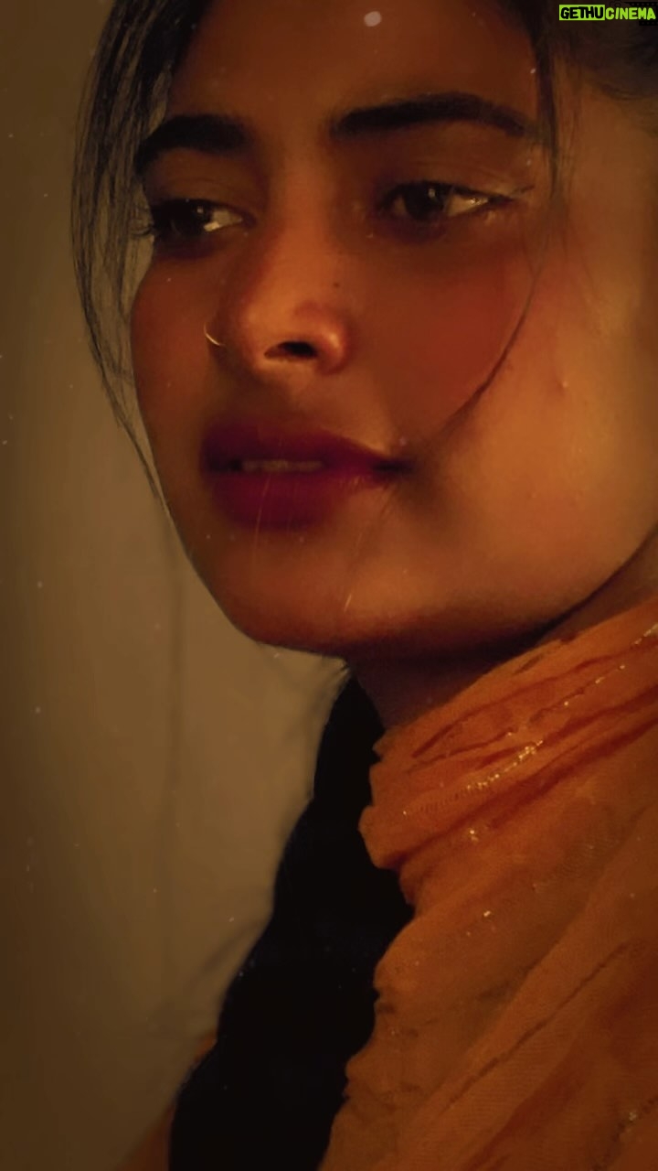 Komal Kashyap - 24.7K Likes - 