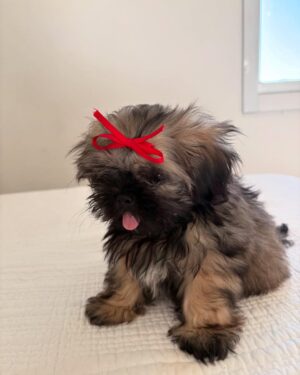 La Joaqui Instagram - ❣️