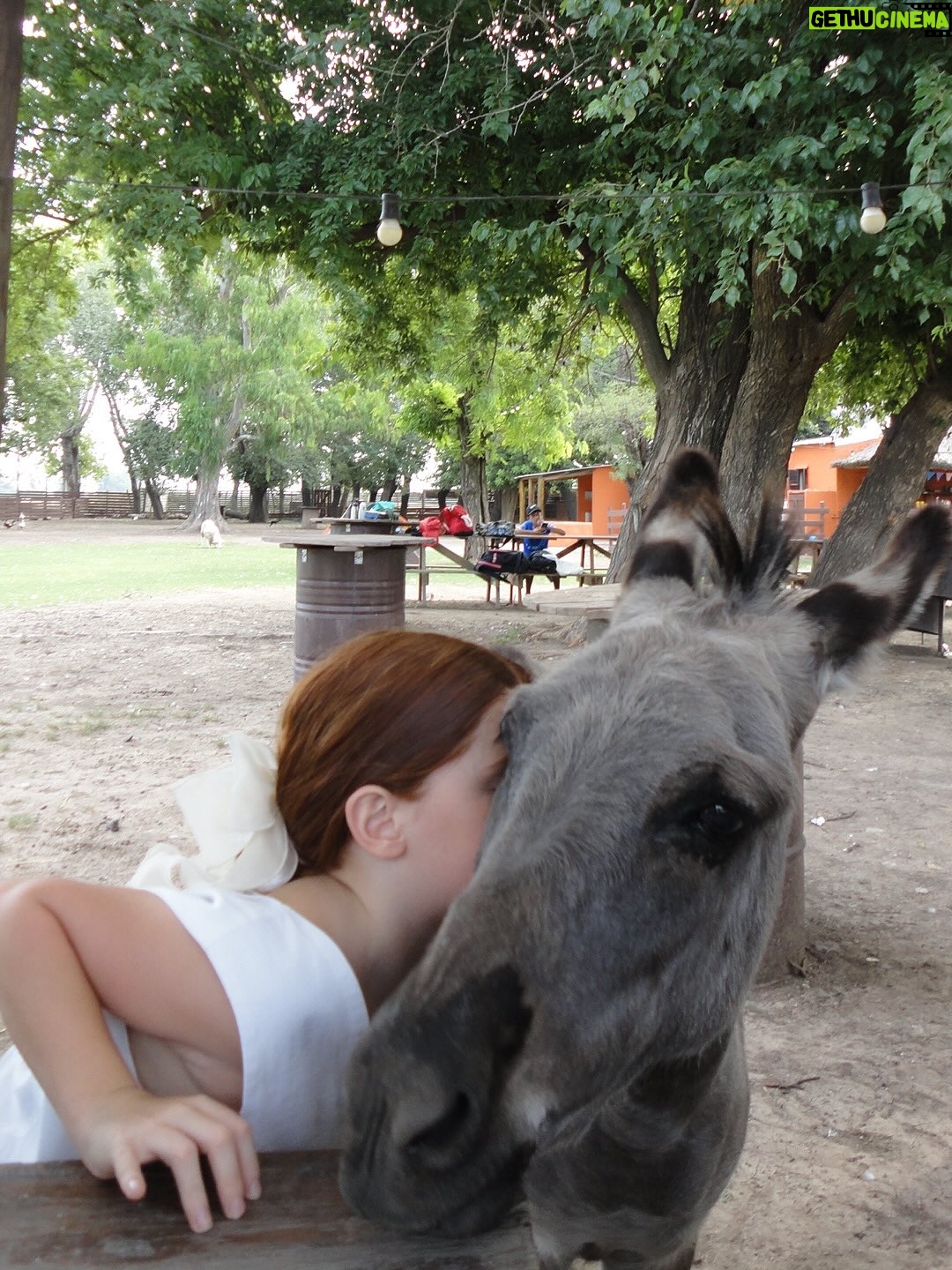 La Joaqui - 551.6K Likes - Hoy hace 9 años soy mamá de una increible personita, amarte fue sin duda la 8va maravilla del universo, el amor sos vos ✨