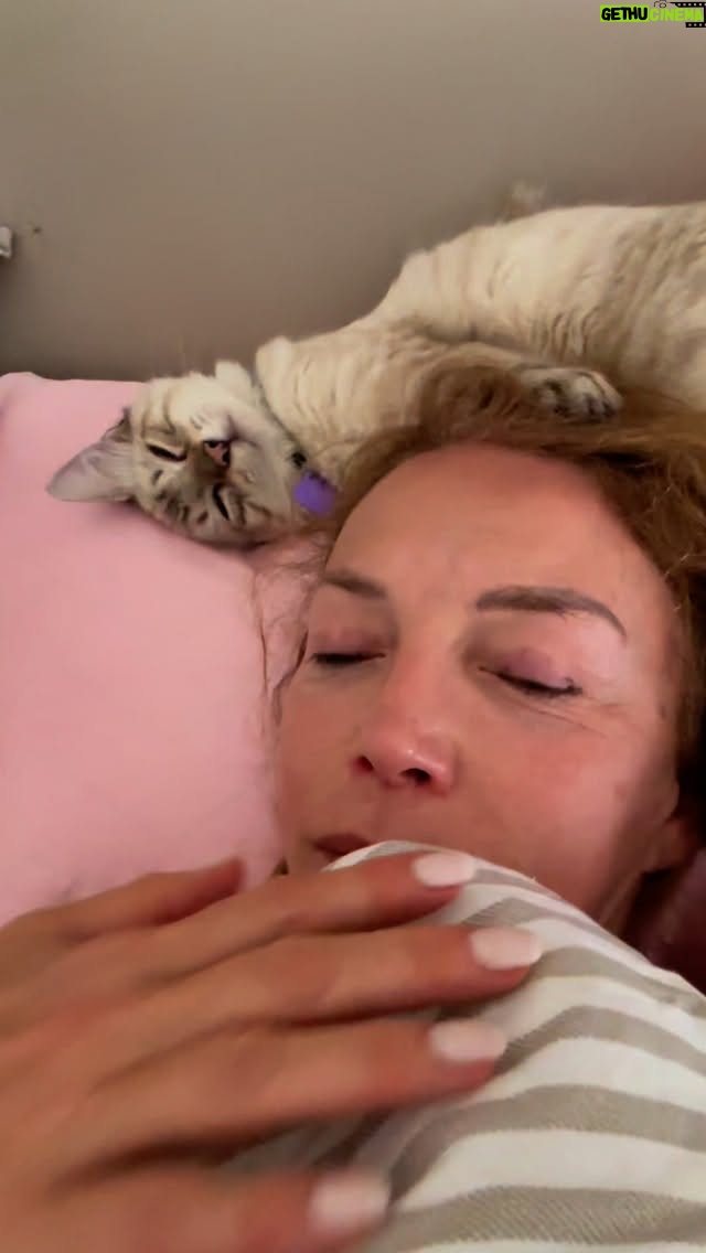 Laura Flores - 5.6K Likes - Buenos dias Leo! Este es amor del bueno! Gracias Leo por llegar a mi vida a llenar mi corazon, #truelove #fyp #reels #cats