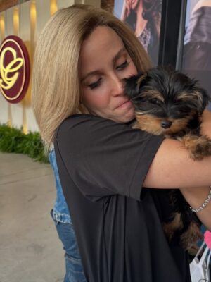 Laura Flores Instagram - hoy Romeo causó sensación en nuestra locacion de #loshilosdelpasado aqui la muestra!!!! Gracias a mis amados compañeros y amigos actores por demostrar tanto amor por mi bebé #petlovers #dog #yorkie #fyp #reels