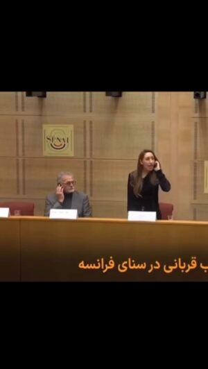 Leila Forouhar Instagram - 🕊️💚🤍💔 @mahtabghorbani1983 
.
.
.
#mahsaamini #hamidrezarouhi #مهسا_امینی #حمیدرضا_روحی #فرانسه🇫🇷 #زن_زندگی_آزادی #women #life #freedom