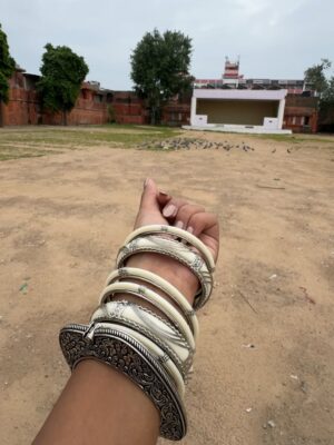 Leisha Patidar Instagram - A day in Jaipur (dump)🪷🦢💎✨💖