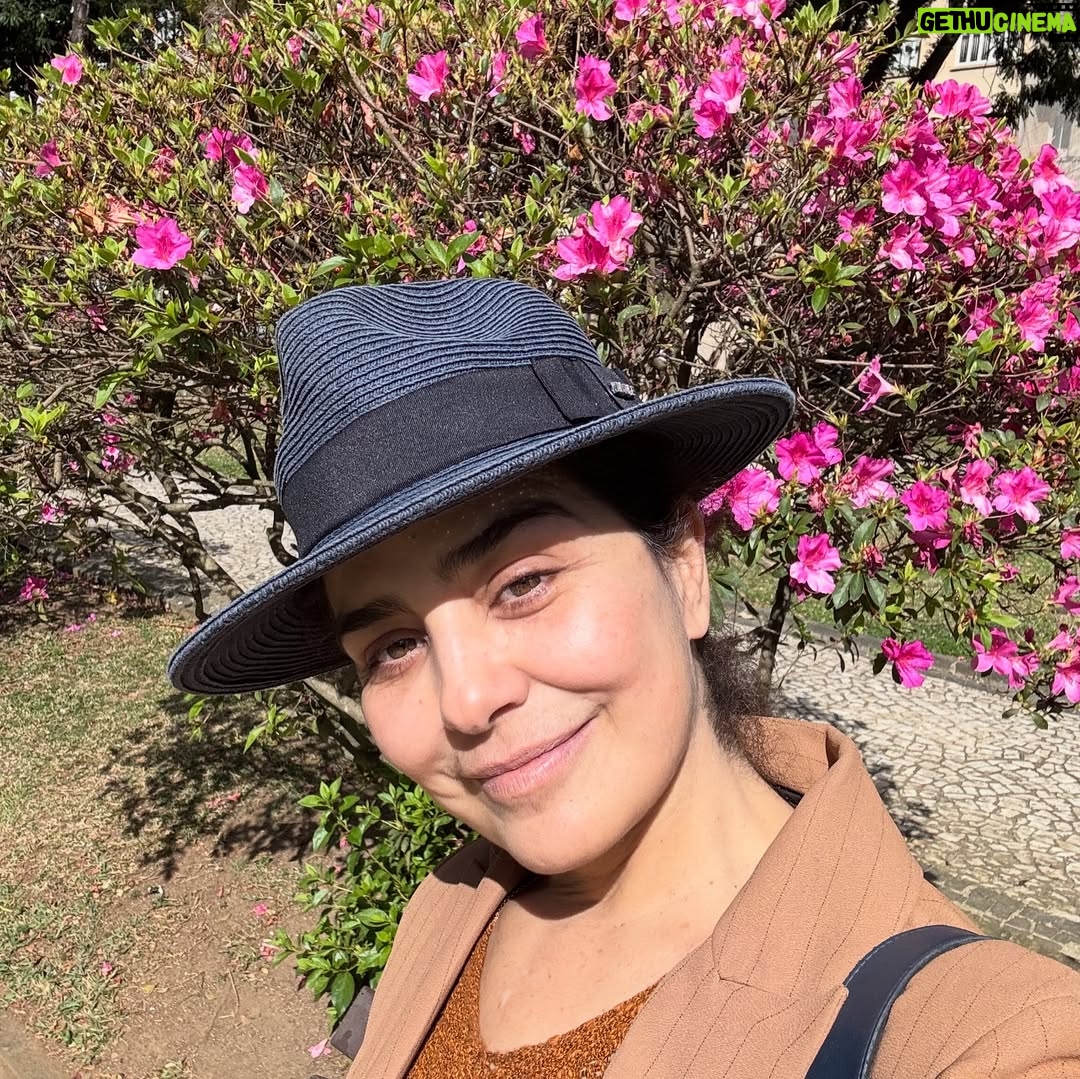 Letícia Sabatella - 6.4K Likes - Solo Curitibano.