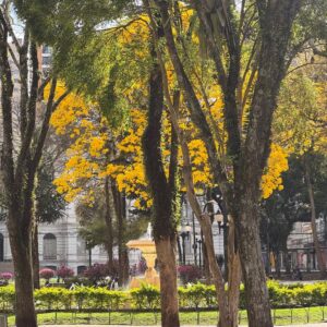 Letícia Sabatella Instagram - Solo Curitibano.