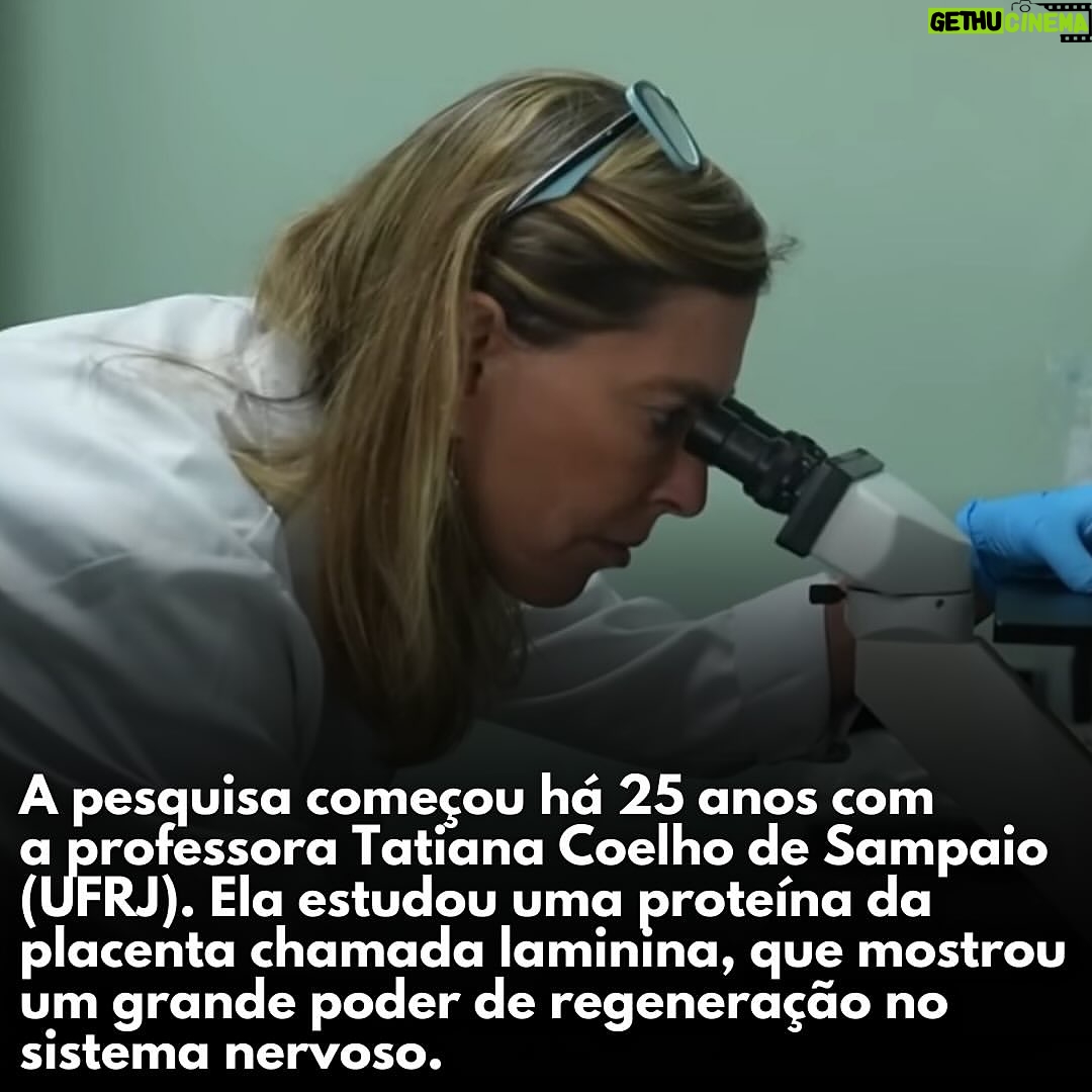 Letícia Sabatella - 3.1K Likes - Via @razoesparaacreditar . Bravos!👏👏👏👏👏#ufrj