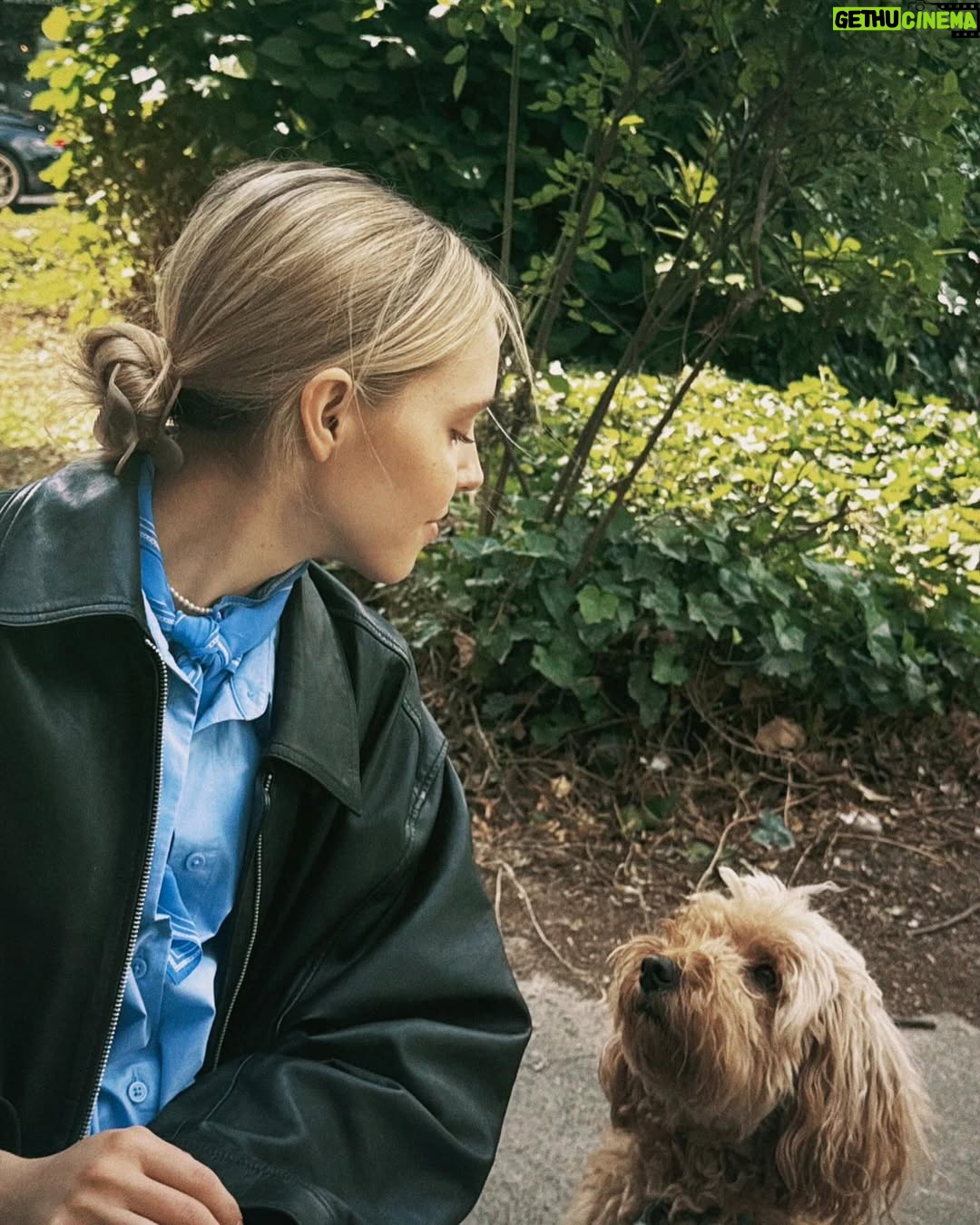 Lina Larissa Strahl - 5.5K Likes - schmolli weil Wind hat nicht mitgespielt - bei Oma🤍 - mein Blick war pure Liebe, in Ilvie’s Augen lag viel Hoffnung auf Futter - ich liebe Hunde. - ich hasse Fahrstuhl fahren, aber der geht weil man die Zeit mit Selfies rumkriegt - muss beim Laufen andauernd stehen bleiben für Blumenfotos🌼🌸 - un ciel bleu avec des nuages blancs⛅️ (et moi) - das obligatorische food picture - liebst mich auf repeat bitte - anscheinend trag ich gern blaue Hemden haha - unterwegs mit den 3 Rümplern🍦- mein Kopf so: OMG NATUR - liebe Grüße von mir und Edward - du lalalala liebst mich ♡ ̆̈