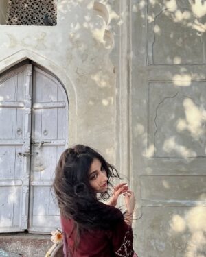 Lisa Prerna Instagram -