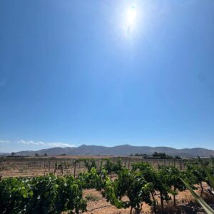 Litzy Instagram - • Valle de Guadalupe •