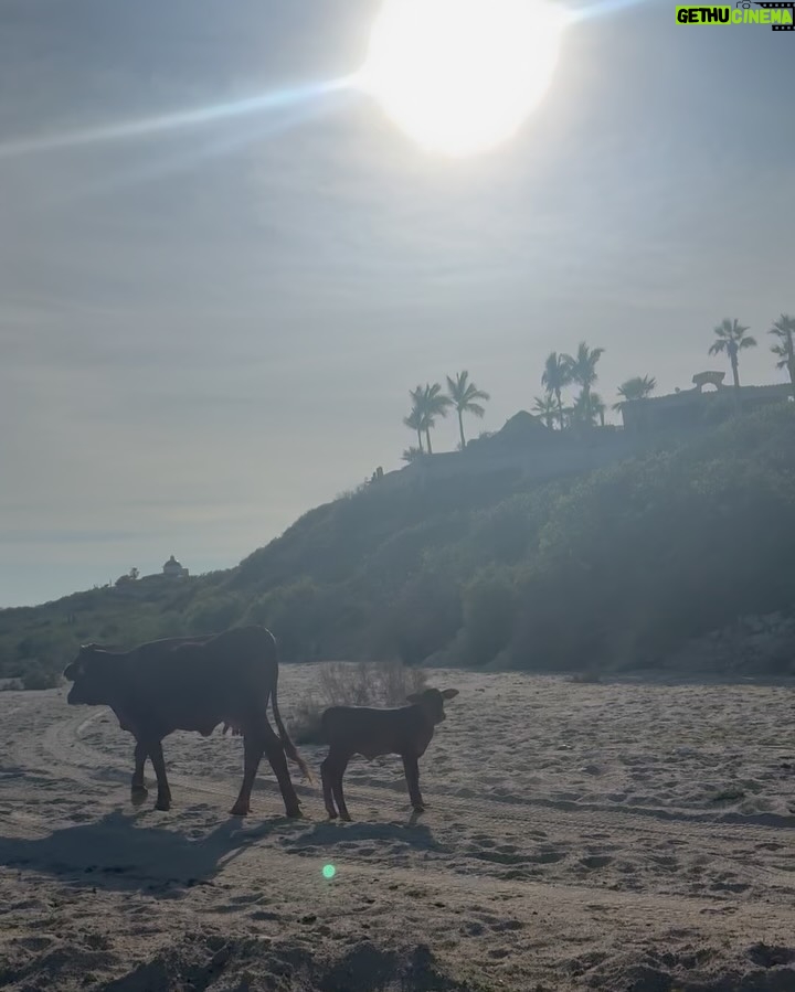 Litzy - 30.5K Likes - • East Cape •

Gran fin de semana de amigos y diversión.