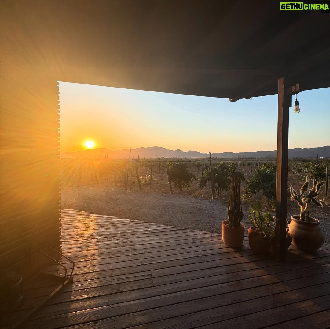Litzy - 21.3K Likes - • Valle de Guadalupe •
