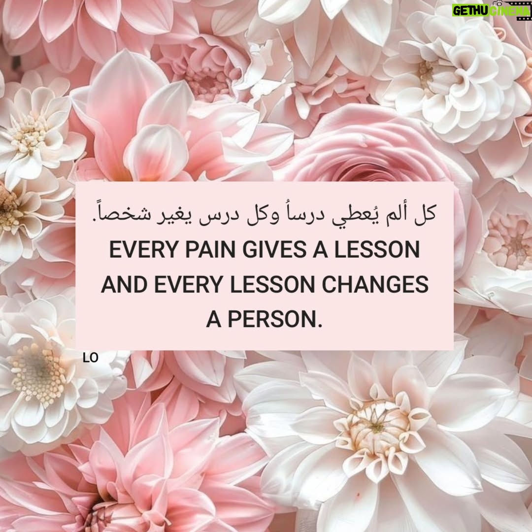 Lojain Omran - 3 Likes - ..
🪷🤍🪷