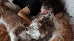 Lucero Instagram - Mi niña, mi luz, mi princesa, mi sueño realizado hoy cumple 20. 
Y parece que fue hace unos días cuando nació y levantaba la ceja aún cuando dormía en mi hombro o en mis brazos. 

Mi Lucero, celebro tu vida preciosa mía, y celebro diario 
porque eres mi regalo de todos los días. 

Gracias por tus risas para todos mis chistes, por pedirme que no me vaya a dormir temprano para quedarnos otro rato juntas, por ser mi mejor amiga y confidente, por hablarme y por escucharme y por ser mi compañera en todo lo que hacemos. 

Eres la hija que siempre soñé pero cada instante superas mis expectativas…
Tan inteligente, tan madura, tan bella, tan única, tan tú. 

Que Dios siga guiando tu camino y que seas la persona más feliz de este planeta, hoy y todos los días de tu vida. Feliz cumple. 

Te amo como no sabes. 
Un día vamos por un jellycat. 
🎂🎉🌟💝🎶🌹♥️