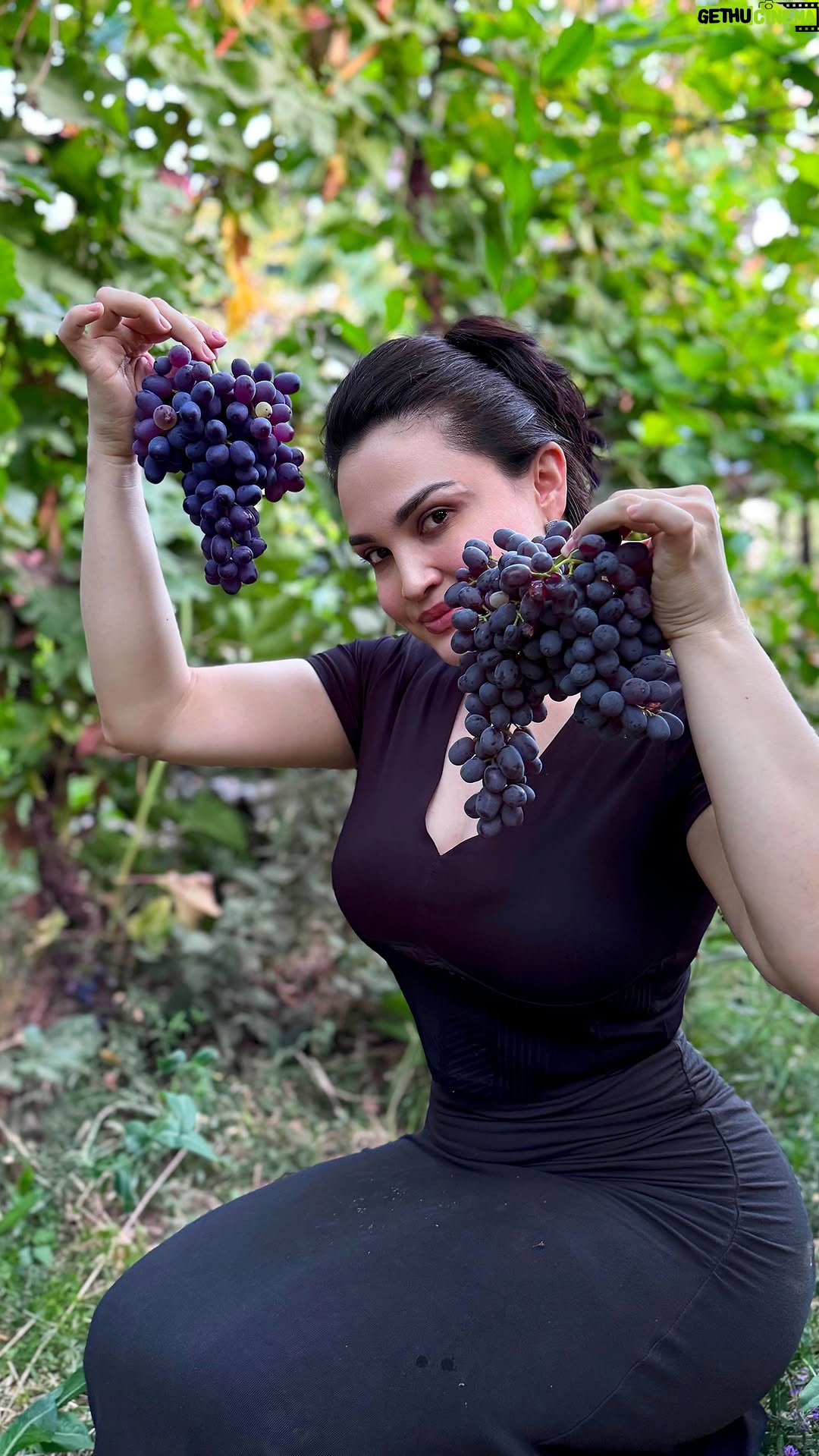 Luiza Rasulova - 41.8K Likes - Кишмиш узум йимиз келила🤤🍇