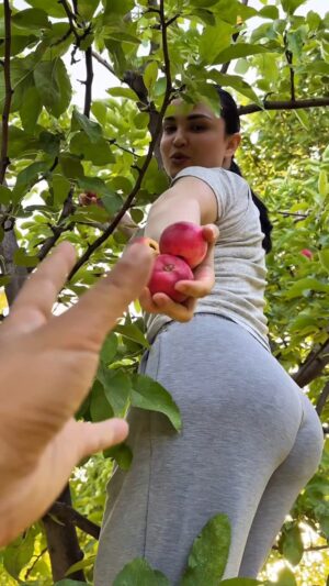 Luiza Rasulova Instagram - Келила дўстлар ўзимизи боғдан олма йимиз🥹🍎