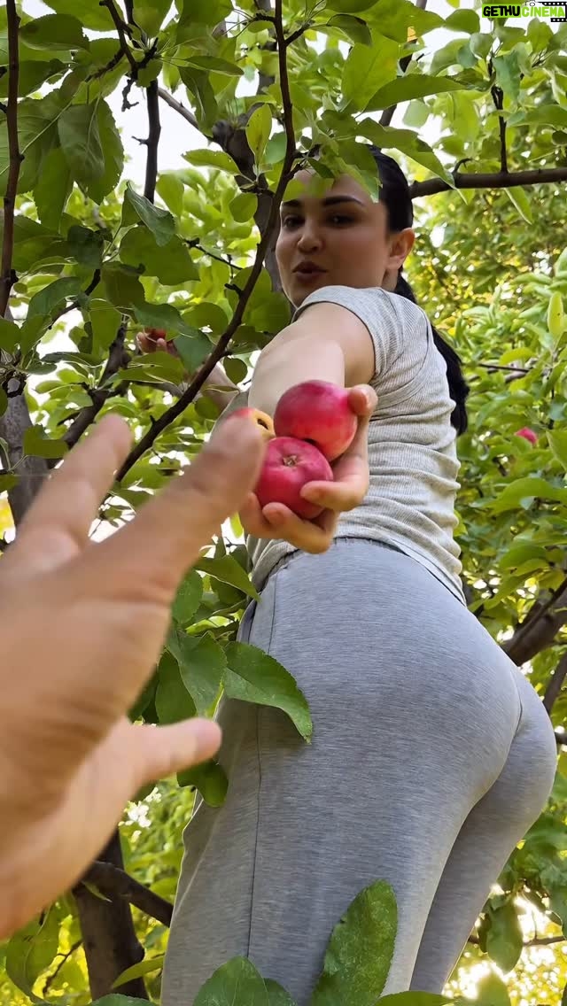 Luiza Rasulova - 64.5K Likes - Келила дўстлар ўзимизи боғдан олма йимиз🥹🍎