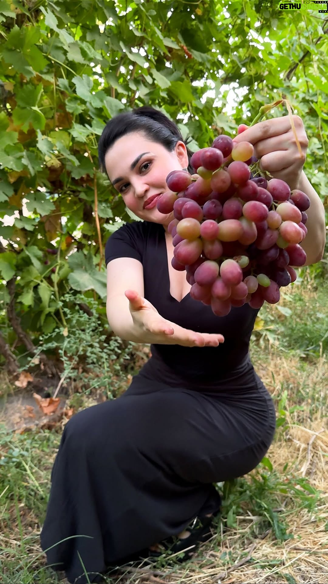 Luiza Rasulova - 85.9K Likes - Келила ўзимизи боғдан узум йимиз🍇🤤